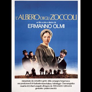 L'albero degli zoccoli