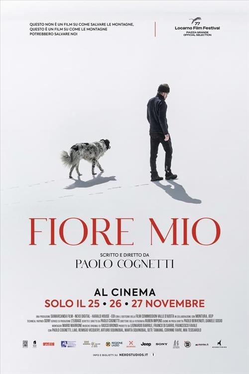 Fiore mio - 28/12/2024 15:00