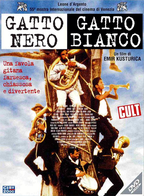 GATTO NERO GATTO BIANCO (BLACK CAT, WHIT - 07/11/2026 18:30